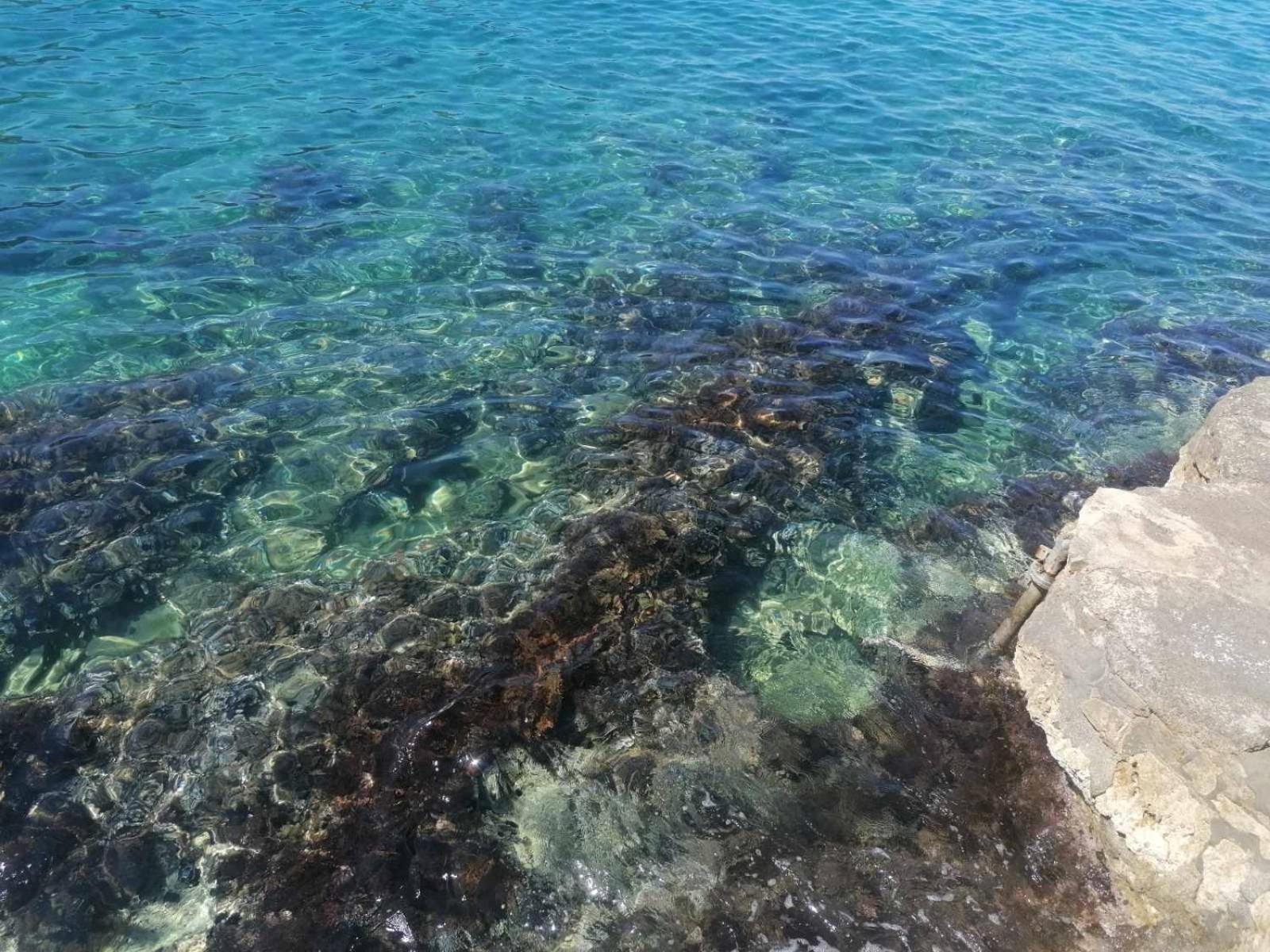 Lux Sea Utjeha