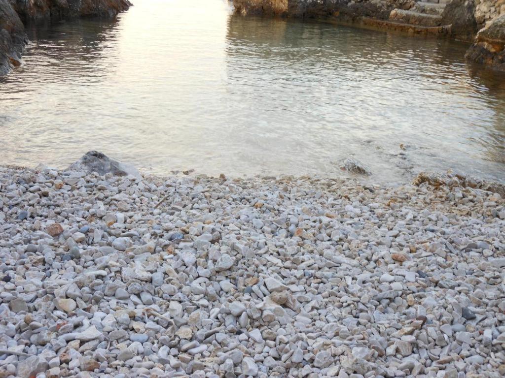 Lux Sea Daire